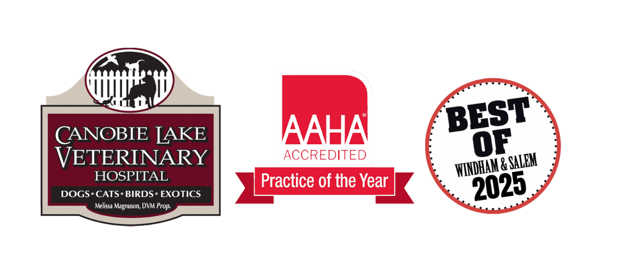 Canobie AAHA Best of 2025 logo