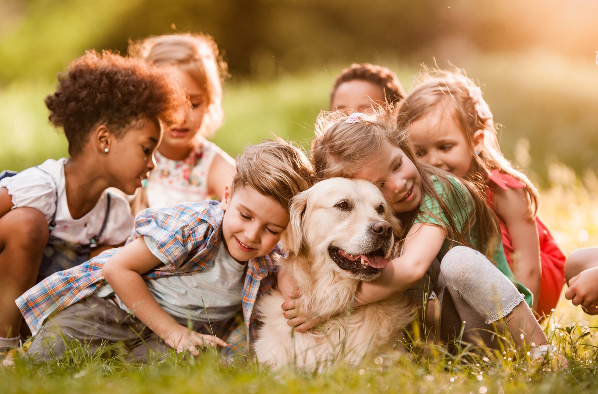 a group of children cuddling a golden dog while sitting in the grass