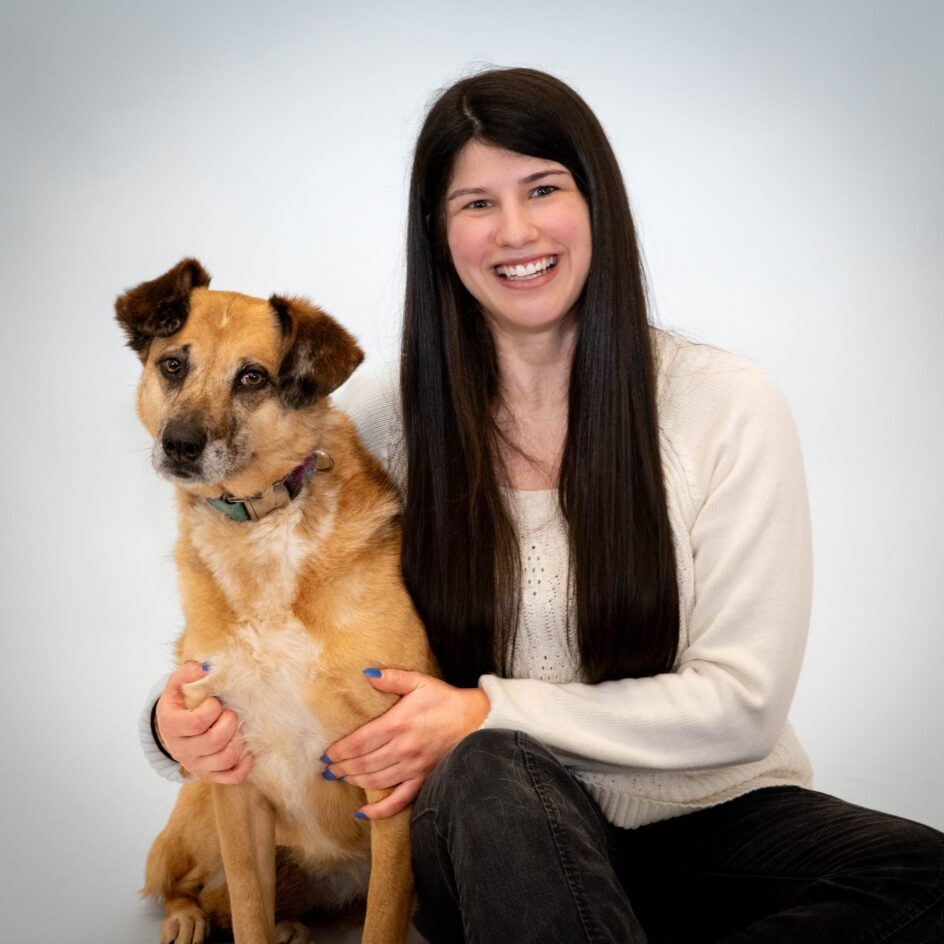 Whitney, Canobie Lake Veterinary Hospital