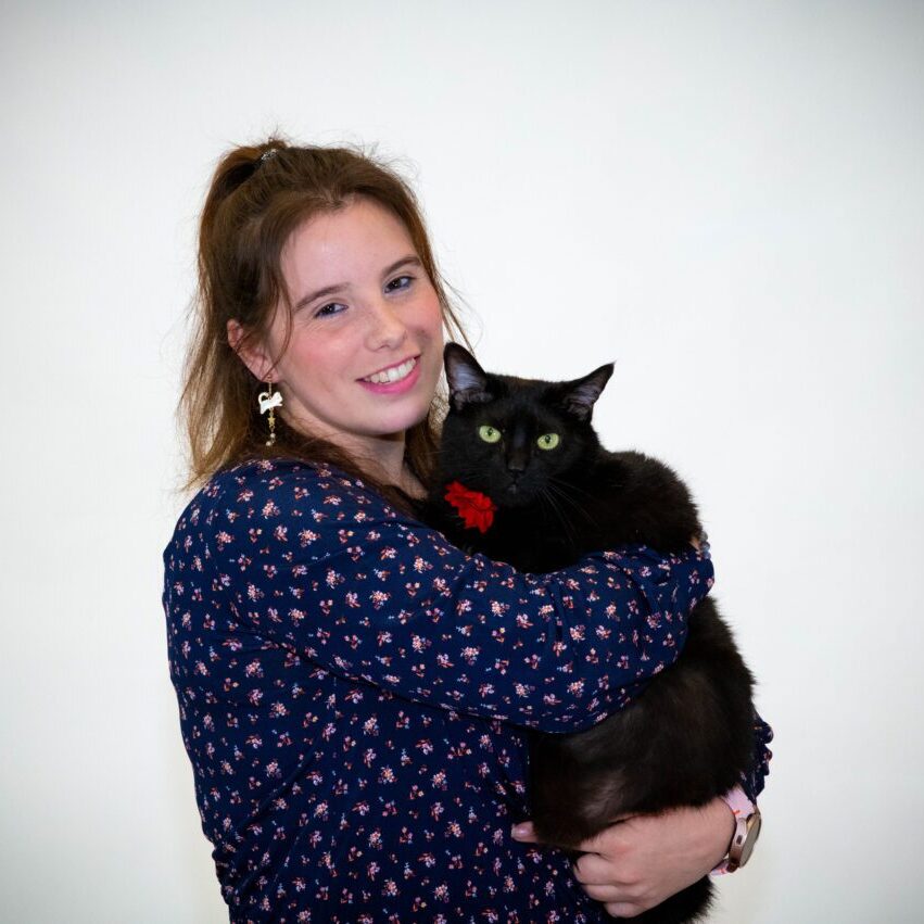 Shelby, Canobie Lake Veterinary Hospital