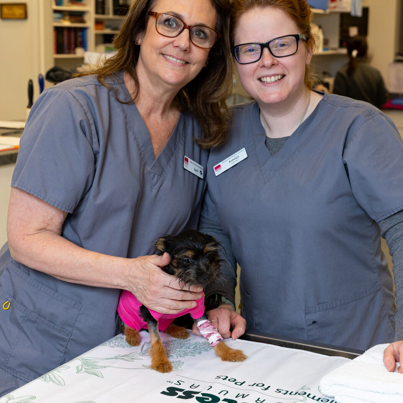 Two techs with a puppy Two techs with a puppy