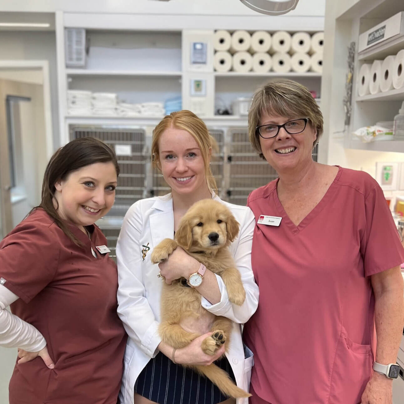 Two Techs With Vet Holding Golden Retriever Puppy Two Techs With Vet Holding Golden Retriever Puppy